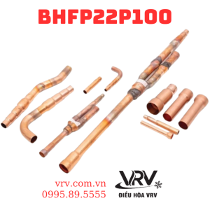 BHFP22P100